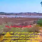 مزرعه للأجار تقع في الجعبه
