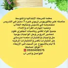 معلمه تاسيس ومتابعه ابتدائي ومتوسط بصامطه