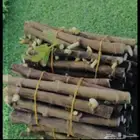 تين جاسم