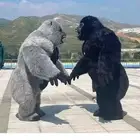 تاجير شخصيات كرتونيه وهوائيه