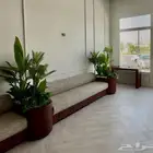 كنب جديد للبيع