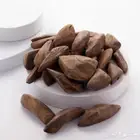 عود ماروكي بيروني