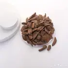 عود ماروكي AA طبيعي