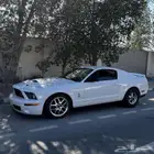 موستنق شيلبي جي تي 500