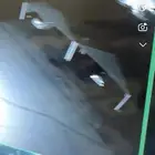 جده