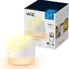 لمبة ذكية Wiz Smart Led Light