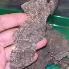 عود طبيعي 100