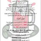 بطوله بلوت وجوائز ماليه