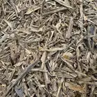 عود هندي سيسور