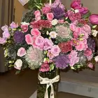 ورد من الفورسيزن