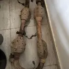 دبات تلوث سكويا