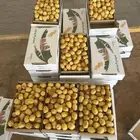 رطب خلاص وادي الدواسر كفو ونظيف