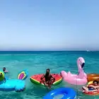 رحلات صيد وسباحه جده