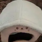 مستلزمات قطط