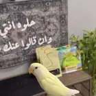 روز اكوا اينو ( هدد ) انباع