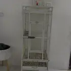 للبيع قفص كاسكو