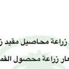 رخصة قمح للبيع