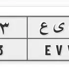 لوحة سياره خاص