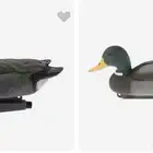 تماثيل بط ( أشكال مختلفه )