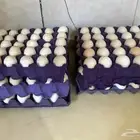 بيض   بلدي المبرز الهفوف