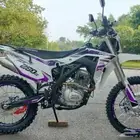 مطلوب صحراوي