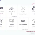 سوناتا 2011