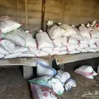 للبيع تمر اعلاف