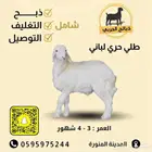 طليان لباني ثلاجات ( مذبوح ومغلف وجاهز لباب بيتك )