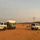 عربه خيل لنقل