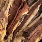 حطب مستورد ممتاز