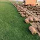 تيل سي 2000 صافو طبيعي درجه اولى