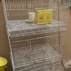 أقفاص سقايات ولوازم طيور للبيع بسعر رخيص