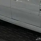 سمكات كابرس 2006 ss