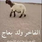 جذع نعيم فاخر