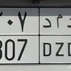 لوحة مميزة للبيع 307