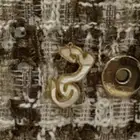 سنسال ذهب باسم لمى