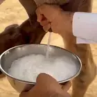 خلفه اركه تحتها قعود هديه وهشه ولبنها واجد وسكر
