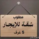 مطلوب شقة للايجار 5 غرف ( لم تسكن )
