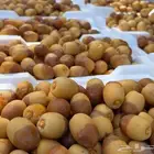 روثانه