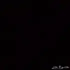 معلمه قرأان ولغتي وعلوم