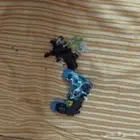 يد سوني 4 مكسوره حق طقطق