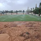 مزرعة ثيل طبيعي بأسعار الجمله