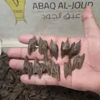 عود كمبودي تايقر محسن