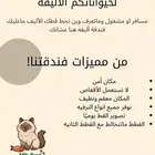فندقه قطط
