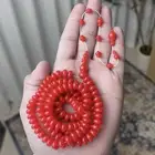 مسباح مساطر