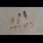 قطع غيار ذباب