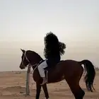 حصان واهو