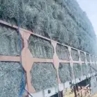 اعرض لكم اعلاف رودس وبرسيم وذره وزريعا وتبن