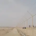 شبوك ونخيل