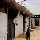 يوجد ايواء غرف للخيل